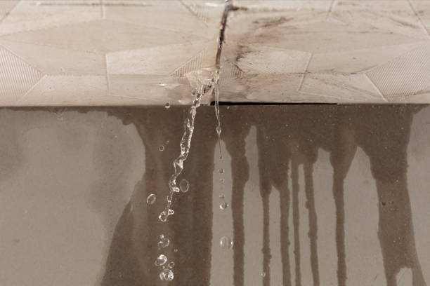 Professional Flood Damage Cleanup technician working in Needville, TX